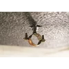 Kép 4/5 - APOLO CELO 9ZG6195M6BTSE BTSE 6x195 Beton csavar M6 külső menettel Kép 4/5 - APOLO CELO 9ZG6195M6BTSE BTSE 6x195 Beton csavar M6 külső menettel