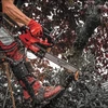 Kép 12/14 - MILWAUKEE 4933479588 M18FTHCHS35-0 FELSŐ FOGANTYÚS LÁNCFŰRÉSZ 35CM